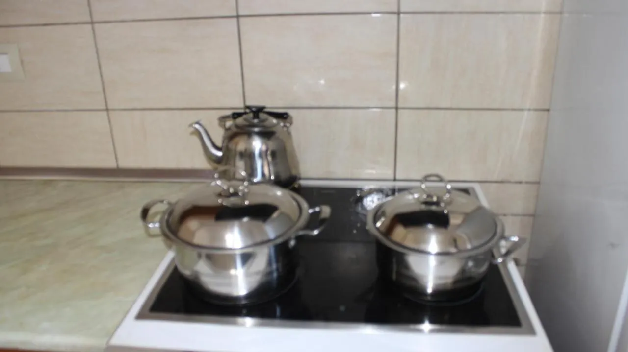 Deni'S Family Apartment In New Blvd Tirana 0*,